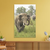 Indische Aziatische olifant begroeting Canvas Afdruk (Insitu (Woonkamer))