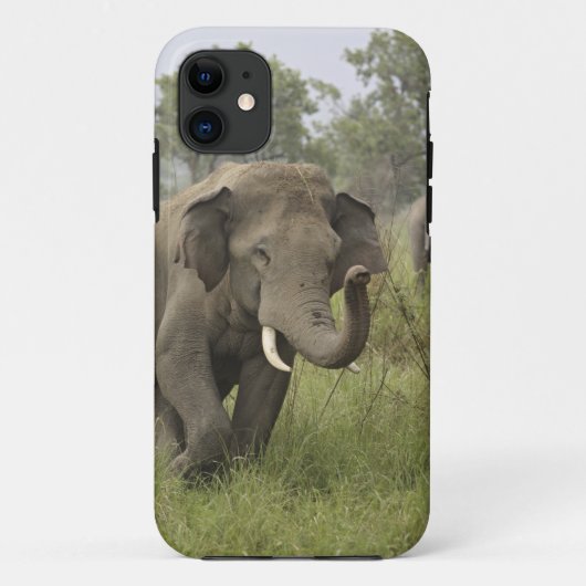 Indische Aziatische olifant begroeting Case-Mate iPhone Case (Achterkant)