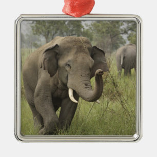 Indische Aziatische Olifant Begroeting Metalen Ornament