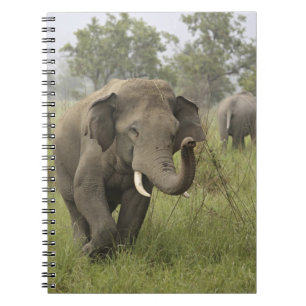 Indische Aziatische Olifant Begroeting Notitieboek