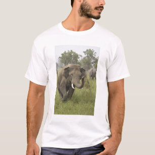 Indische Aziatische Olifant Begroeting T-shirt