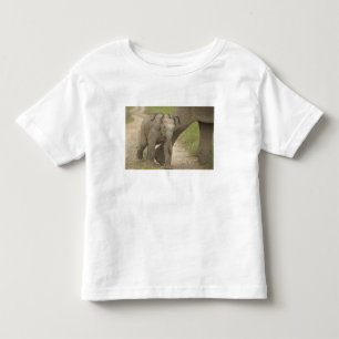 Indische / Aziatische Olifant en jong,Corbett 2 Kinder Shirts