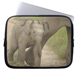 Indische / Aziatische Olifant en jong, Corbett 2 Laptop Sleeve