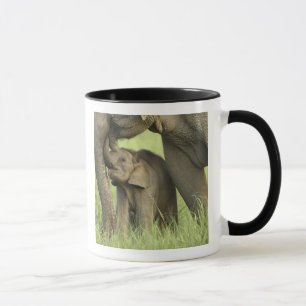 Indische / Aziatische Olifant en jong,Corbett 2 Mok