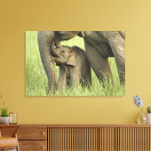 Indische / Aziatische Olifant en jong,Corbett Canvas Afdruk (Insitu (Woonkamer))