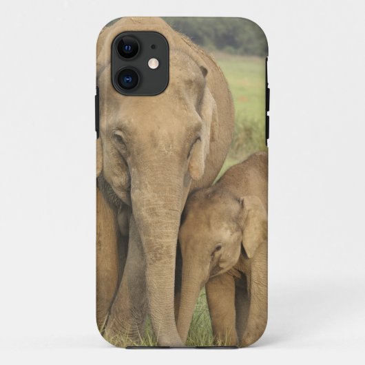 Indische / Aziatische Olifant en jong,Corbett Case-Mate iPhone Case (Achterkant)