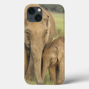 Indische / Aziatische Olifant en jong,Corbett iPhone 13 Hoesje