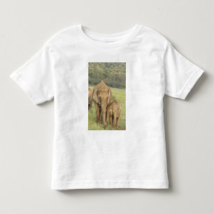 Indische / Aziatische Olifant en jong,Corbett Kinder Shirts