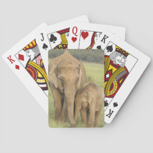 Indische / Aziatische Olifant en jong,Corbett Speelkaarten