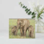 Indische Aziatische olifant en jongeren Briefkaart (Staand voorkant)