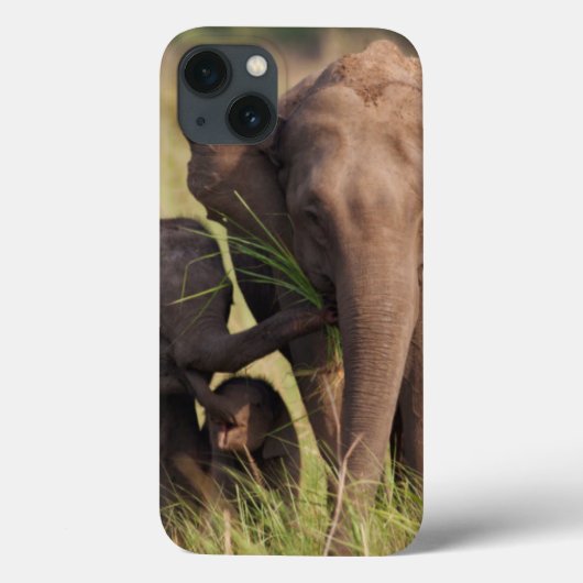 Indische Aziatische olifant familie in savanne Case-Mate iPhone Case (Achterkant)