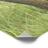 Indische/Aziatische olifant, jong, Corbett 2 Poster (Hoek)