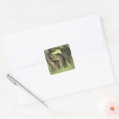 Indische/Aziatische olifant, jong, Corbett 2 Vierkante Sticker (Envelop)