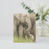 Indische/Aziatische olifant, jong, Corbett 3 Briefkaart (Staand voorkant)