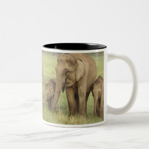 Indische Aziatische Olifant & Jongen Tweekleurige Koffiemok