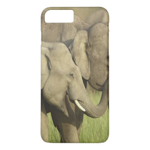 Indische Aziatische Olifanten Case-Mate iPhone Case