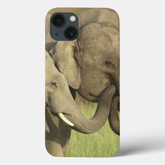 Indische Aziatische Olifanten Case-Mate iPhone Case (Achterkant)