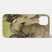 Indische Aziatische Olifanten Case-Mate iPhone Case (Achterkant (horizontaal))