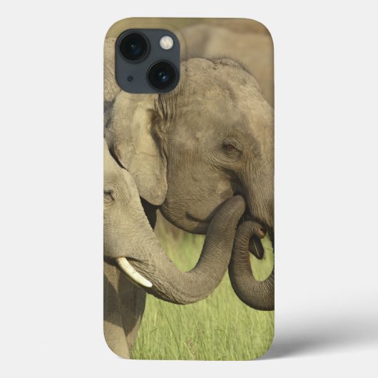 Indische Aziatische Olifanten Case-Mate iPhone Case (Achterkant)