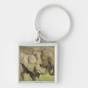 Indische Aziatische Olifanten Sleutelhanger