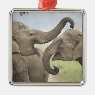 Indische Aziatische Olifanten spelen vechtend Metalen Ornament