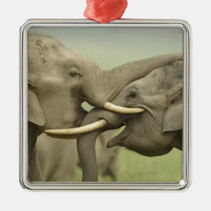 Indische Aziatische Olifanten spelen vechtend Metalen Ornament