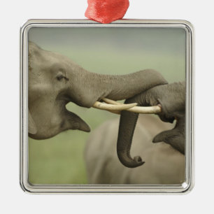 Indische Aziatische Olifanten spelen vechtend Metalen Ornament