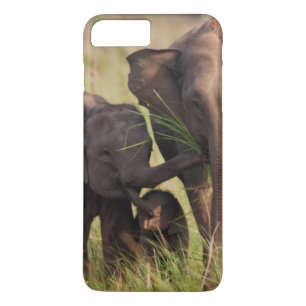 Indische Aziatische Olifantenfamilie in de Savanna iPhone 8/7 Plus Hoesje