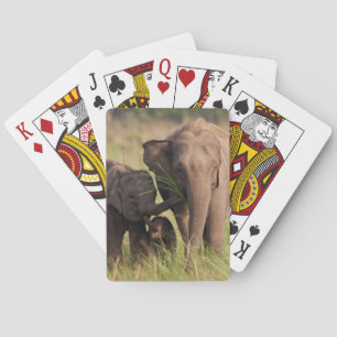 Indische Aziatische Olifantenfamilie in de Savanna Pokerkaarten
