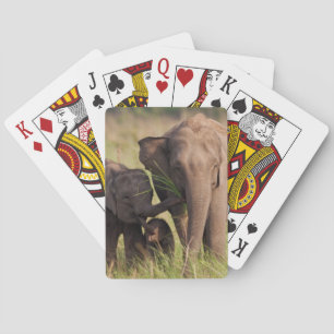 Indische Aziatische Olifantenfamilie in de Savanna Pokerkaarten