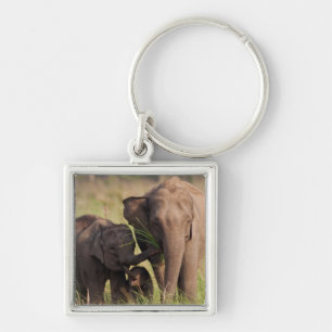 Indische Aziatische Olifantenfamilie in de Savanna Sleutelhanger
