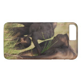Indische Aziatische olifantenfamilie in de Savanne Case-Mate iPhone Case (Achterkant (Horizontaal))