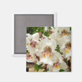 Indische Bean Tree Flowers Magnet (Voorkant / Achterkant)