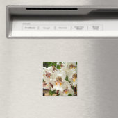 Indische Bean Tree Flowers Magnet (Insitu (Vaatwasser))