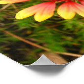 Indische blanket poster (Hoek)