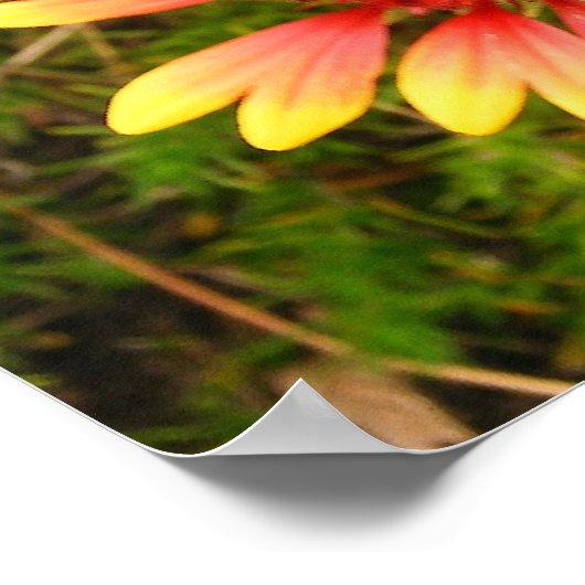 Indische blanket poster (Hoek)