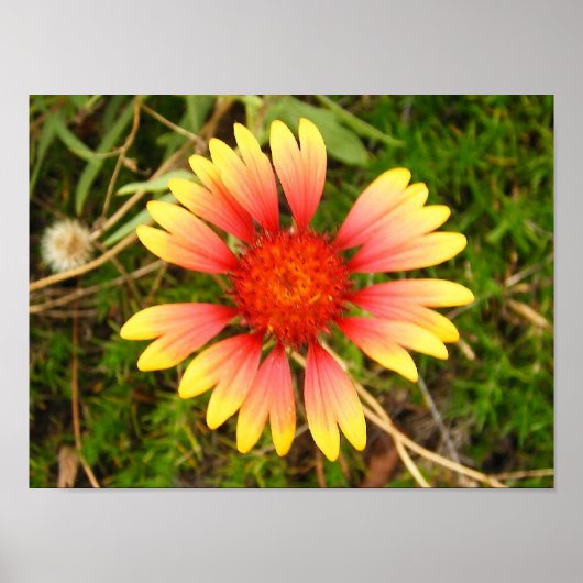 Indische blanket poster (Voorkant)