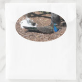 Indische blauwe en witte fazanten sticker (Tas)