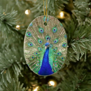 Indische blauwe Ornament