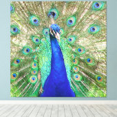Indische blauwe pacock canvas afdruk (Insitu (Houten vloer))