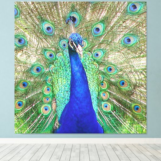 Indische blauwe pacock canvas afdruk (Insitu (Houten vloer))