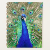 Indische blauwe pacock planner (Voorkant)