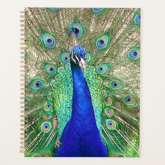 Indische blauwe pacock planner (Voorkant)