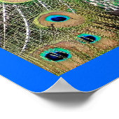 Indische blauwe pacock poster (Hoek)