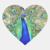Indische Blauwe Pauw Hart Sticker (Voorkant)