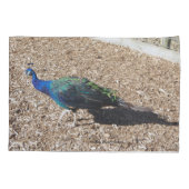 Indische Blauwe Pauw kussensloop (Achterkant)