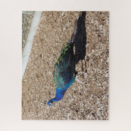 Indische Blauwe Pauw legpuzzel