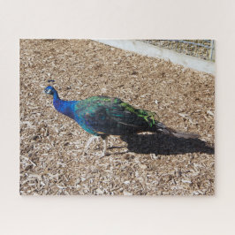 Indische Blauwe Pauw legpuzzel