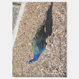 Indische Blauwe Pauw-magneet Magneet