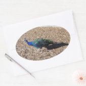 Indische Blauwe Pauw sticker (Envelop)